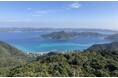『SINRA』カーボンクレジット創出地に鹿児島県龍郷町(奄美大島)が新たに参画