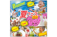 夏休みキッズのお出かけに人気の“遊び”や“体験”が揃ってます！「マザー牧場 夏フェス 2026」が7/18よりスタート!