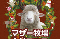 動物たちと癒しのマザー牧場クリスマス!「クリスマスコーデ」でプレゼントがもらえるイベントが新登場!