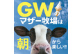 【GW早朝限定】迫力満点のイベント「ひつじの大放牧」6日間限定開催!マザー牧場のゴールデンウィーク特別営業情報を公開!