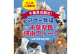 【千葉県民のみなさま必見!】千葉県在住のこどもはマザー牧場の入場料が無料に!オトクが嬉しい「千葉県民感謝ウィーク」6月1日よりスタート!
