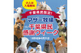 【千葉県民のみなさま必見！】千葉県在住のこどもはマザー牧場の入場料が無料に！オトクが嬉しい「千葉県民感謝ウィーク」6月6日よりスタート！