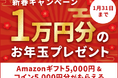 【英会話レッスン回数無制限】ネイティブキャンプ　1万円分のお年玉！Amazonギフト券5,000円分＆コイン5,000円分プレゼントキャンペーン開催