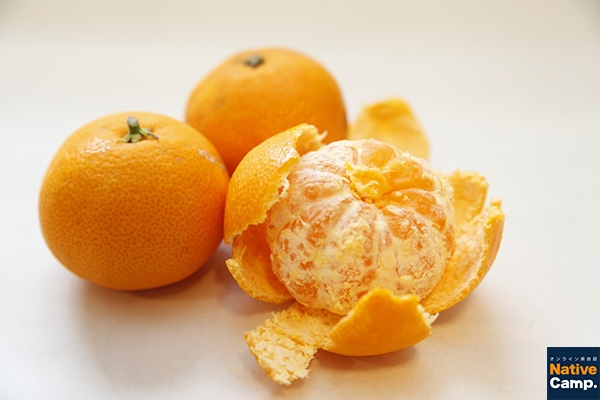 都道府県の魅力を英語で学ぶ英語教材 おもてなし100プロジェクト愛媛県編 リリース 株式会社ネイティブキャンプのプレスリリース