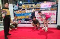 【会員数No.1】ネイティブキャンプ 宮崎県「一番街こんね祭2024」に協賛!「ゼロ学割」で小中高生の英語学習を無料支援