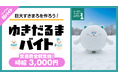北海道の絶景で“ゆきだるまを本気でつくる”2時間！「さっぽろ羊ヶ丘展望台」にて雪像をみんなで作る「ゆきだるまバイト」をシェアフルで募集！
