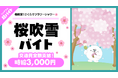 春の桜まつりで“桜吹雪を舞わせる”2時間！埼玉・川口「密蔵院」にてSNS映えの花びら演出を体験する「桜吹雪バイト」をシェアフルで募集！