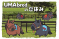 競走馬グッズブランド『UMAbred』が『UMAbredの夏休み』と題し、サテライトPOPUPを開催!7/25 お台場ダイバーシティ東京のKARATECHOP ART&TOYにて8/11まで!