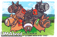 競走馬グッズブランド『UMAbred』がスプリンターズステークスの開催に合わせJR船橋法典駅臨時口改札内コンコースにて出張POPUPを開催。netkeibaグッズももちろん登場！！