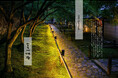 夜の一休寺が幽玄の世界へ──「陰翳と瞑想の世界 一休寺 翠のライトアップ」開催へ向けクラウドファンディングに挑戦
