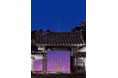 一休寺、静寂の夜に灯る『陰翳礼讃』──光と影が織りなすライトアップイベント開催