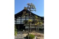 一休寺 庫裡前の松、役目を終えて ― 禅の心を映す景観の象徴