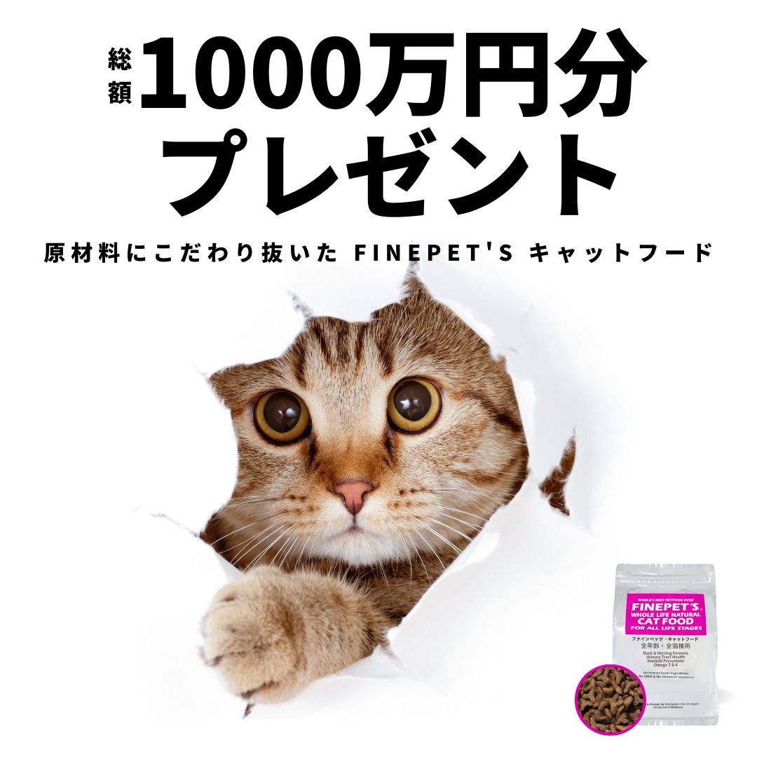 【24時間以内発送】FINEPET'S ファインペッツ キャットフード1.5kg