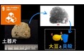 収蔵庫から続々新発見!X線CTによる縄文土器の再発掘で判明日本ではめずらしい貝殻混入の縄文土器・九州最古級のマメ類圧痕の発見熊本大学と福岡市埋蔵文化財センターのコラボで判明