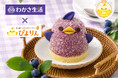 ぴよりん史上初！ブルーベリーを主役にしたぴよりんが新登場