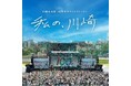 市制100周年を彩る新たな「ビジュアル」を公開!