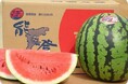 能登半島地震の寄附金を活用して学校給食で、能登の食材を提供します!