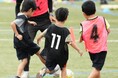 【無料】親子で多様なスポーツを楽しむ「川崎市スポーツフェスタ2026」を、10月12日(月・祝)に等々力緑地で開催します！