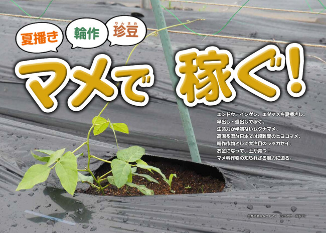 月刊『現代農業』2023年9月号　巻頭特集