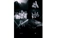 i-dle、5月19日に8th Mini Albumでカムバック確定!CUBEとの再契約&リブランディング後初の完全体カムバック。