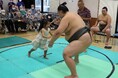「老人福祉センターではっけよい!」を開催しました!