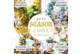 一年を彩る、花の舞台。所沢店の“シーズンフラワーテラス”2025年7月14日からはひまわりブースが始まります。