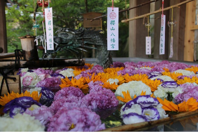 花手水 花手水