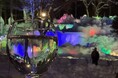 【岐阜県高山市】幻想的な氷の世界『第50回氷点下の森 氷祭り』開催決定!