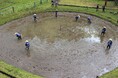 【飛騨高山・岐阜県高山市】車田で田植え