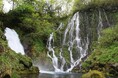 【飛騨高山・岐阜県高山市】乗鞍山麓五色ヶ原の森オープン