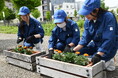 【飛騨高山・岐阜県高山市】飛騨高山高校の生徒が「花でおもてなし」