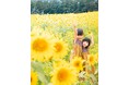 【飛騨高山・岐阜県高山市】アルコピアひまわり園が開園します
