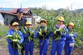 【飛騨高山・岐阜県高山市】高山市朝日小学校の児童が“幻のとうもろこし”「タカネコーン」の収穫体験！