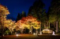 【飛騨高山・岐阜県高山市】標高1,000m奥飛騨温泉郷で紅葉ライトアップ開幕!10月1日~40日間限定の夜景体験