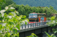 【飛騨高山・岐阜県高山市】運行2年目！地元小学生が名付けた「おくひだマウンテンバス」が新緑シーズンに運行決定