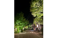 【飛騨高山・岐阜県高山市】福地温泉「新緑の街並みライトアップ」