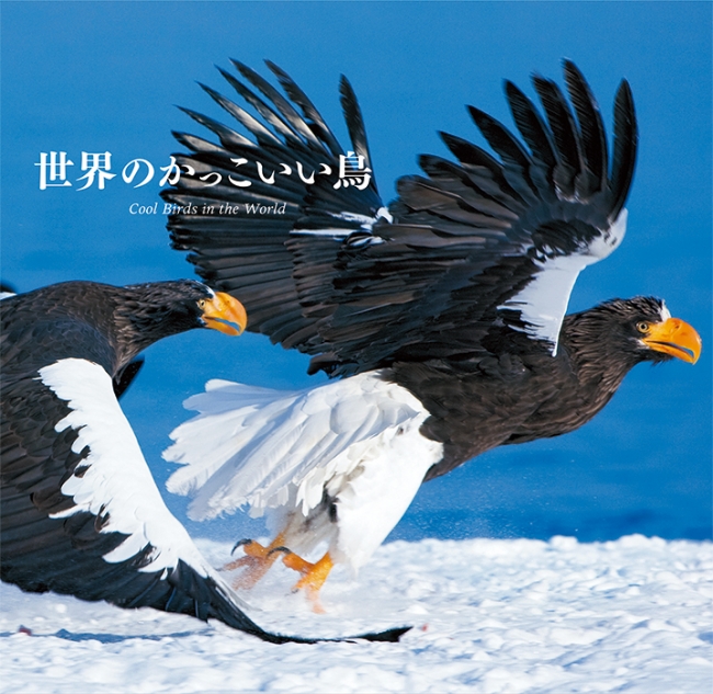 勇猛で凛々しい 世界の猛禽 怪鳥を雄大な景色とともに 世界のかっこいい鳥 刊行のおしらせ 株式会社パイ インターナショナルのプレスリリース