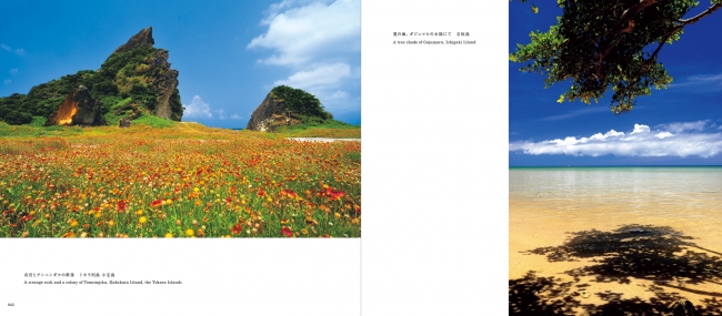 （左）奇岩とテンニンギクの群落　トカラ列島 小宝島／(右）夏の海、ガジュマルの木陰にて　石垣島