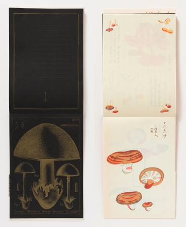 ヨーロッパから日本まで「きのこ」のアンティーク図譜の紙100枚収録 