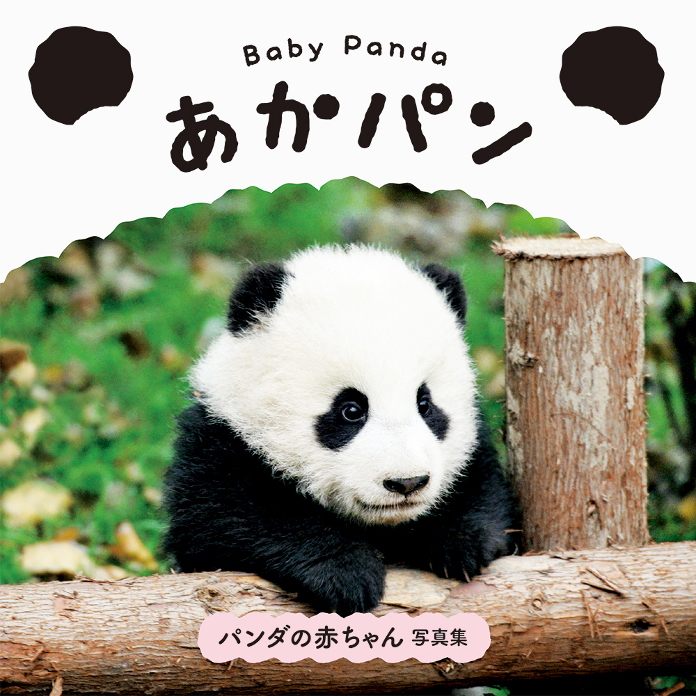 みんな大好き 一冊まるごと パンダの赤ちゃん 写真集 ベビー パンダ あかパン 発売 株式会社パイ インターナショナルのプレスリリース