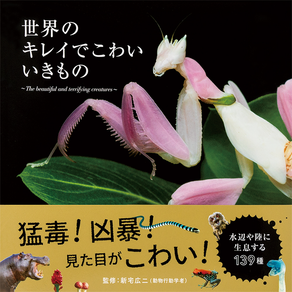 猛毒 凶暴 見た目がこわい 知れば驚く水辺や陸に生息する約140種 世界のキレイでこわいいきもの 発売 株式会社パイ インターナショナルのプレスリリース