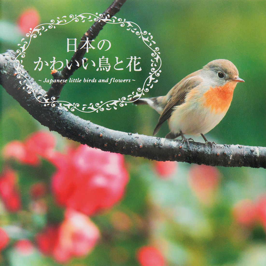 野鳥撮影の第一人者がおくる 可憐な野の鳥と日本の四季 日本のかわいい鳥と花 発売 株式会社パイ インターナショナルのプレスリリース