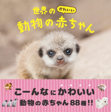 動物の赤ちゃんって とにかくかわいい 世界のかわいい動物の