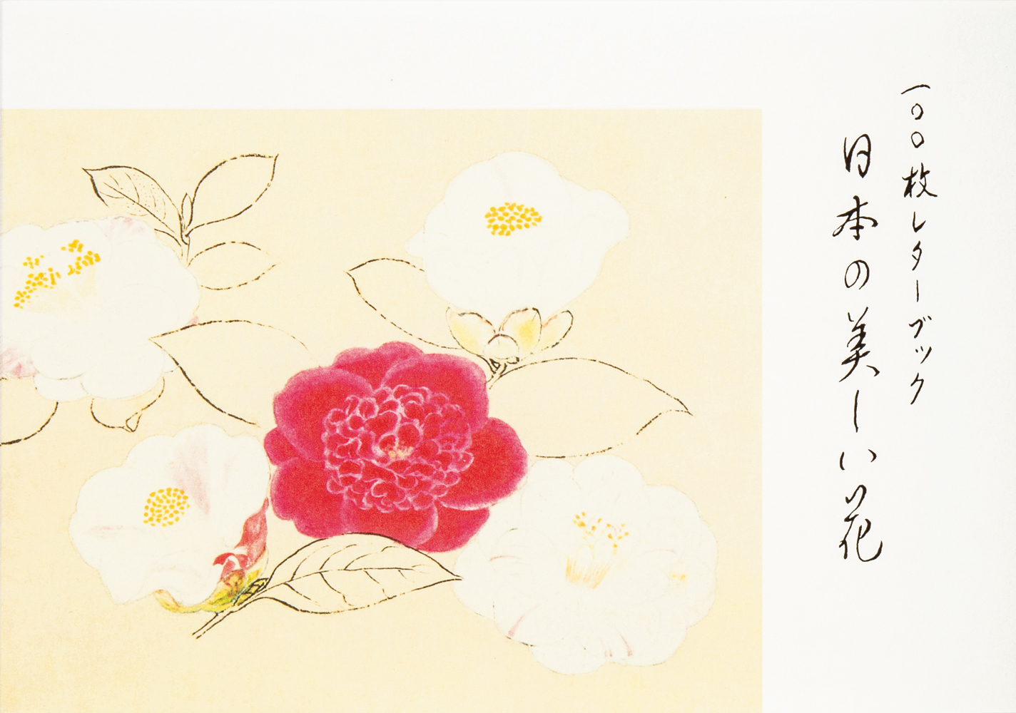 日本の美しい四季の草花が美しい便箋になりました シリーズ最新刊 100枚レターブック 日本の美しい花 発売 株式会社パイ インターナショナルのプレスリリース