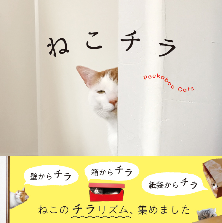 壁からチラ 箱からチラ ねこのチラリズム集めました ねこチラ 3月11日に発売 株式会社パイ インターナショナルのプレスリリース