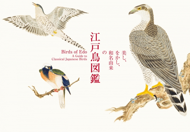 江戸の卓越した博物画から美麗な鳥たちの姿を追う 美し をかし 和名由来の江戸鳥図鑑 発売 株式会社パイ インターナショナルのプレスリリース