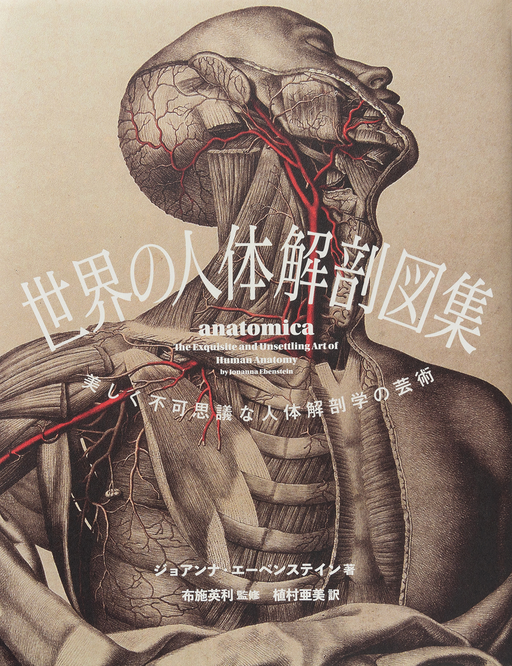 不穏で 目が離せなくて ぞっとする人体解剖図の世界 世界の人体解剖図集 美しく不可思議な人体解剖学の芸術 を9 11に発売 株式会社パイ インターナショナルのプレスリリース