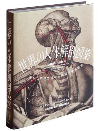 不穏で 目が離せなくて ぞっとする人体解剖図の世界 世界の人体解剖図集 美しく不可思議な人体解剖学の芸術 を9 11に発売 株式会社パイ インターナショナルのプレスリリース
