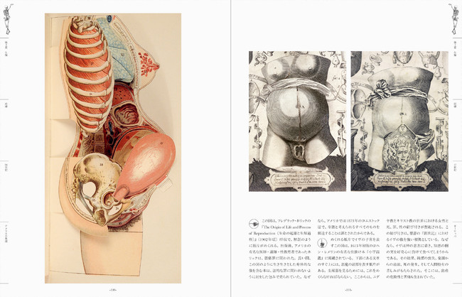 不穏で 目が離せなくて ぞっとする人体解剖図の世界 世界の人体解剖図集 美しく不可思議な人体解剖学の芸術 を9 11に発売 株式会社パイ インターナショナルのプレスリリース