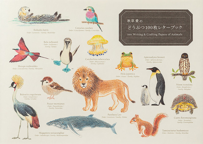 150種類以上のどうぶつが登場 かわいくておもしろい 図鑑のような 秋草愛の どうぶつ 100枚レターブック 発売 株式会社パイ インターナショナルのプレスリリース